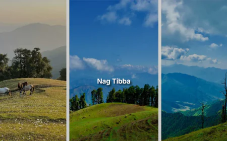 Nag Tibba Trek – A Perfect Himalayan Getaway for Beginners
