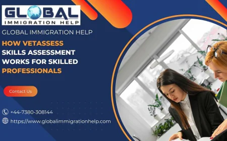 How VETASSESS Skills Assessment Works for Skilled Professionals