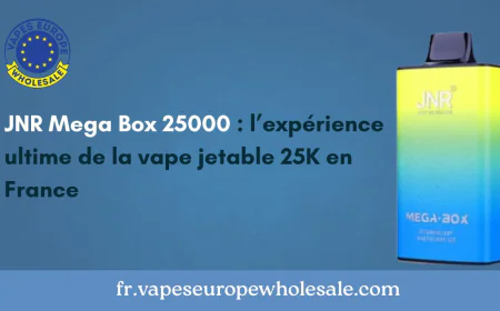 JNR Mega Box 25000 : l’expérience ultime de la vape jetable 25K en France