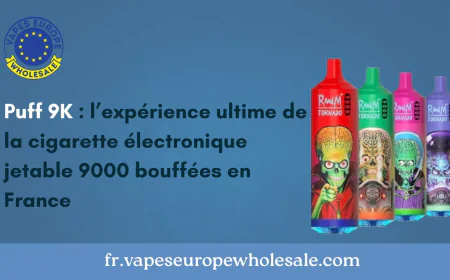 Puff 9K : l’expérience ultime de la cigarette électronique jetable 9000 bouffées en France