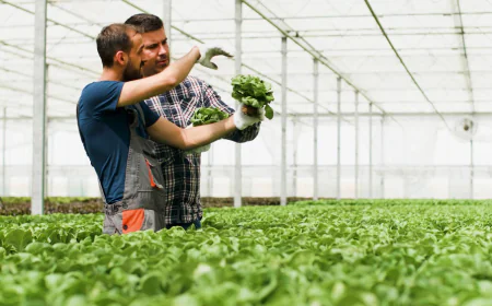 Agri Input Companies: Driving Growth and Productivity in Modern Agriculture