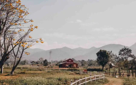 Investing in the Future: Why Naugaon Farmhouses Are the New Real Estate Goldmine