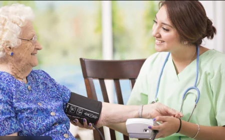 Discovering Nursing Home Alternatives in Wesley Chapel: A Comprehensive Guide