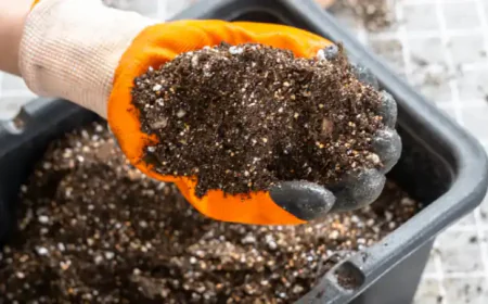 The Natural Strength of Organic Perlite in Gardening and Soil Care