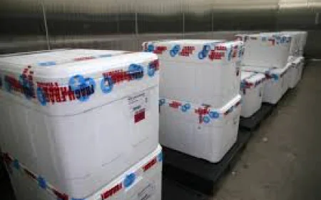 Vaccine Storage and Packaging Market  Size, Share and Trends 2025-2033