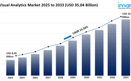 Visual Analytics Market Report 2025 | Size, Share & Demand Forecast by 2033