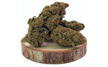 Haschisch Guide: Arten, Herstellung und Eigenschaften