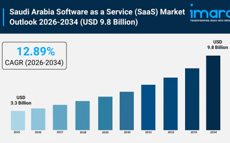 Saudi Arabia Software as a Service (SaaS) Market Size, Outlook and Report 2026-2034