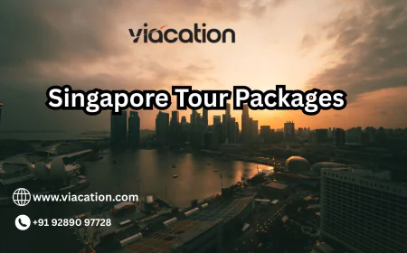 Can Singapore Packages Be Customized as Per Budget?