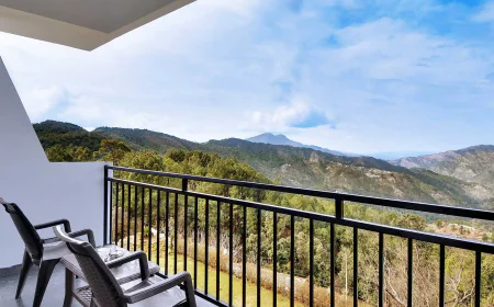 Why Chail Is Calling: Top Reasons to Choose a Resort in Himachal’s