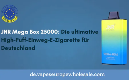 JNR Mega Box 25000: Die ultimative High-Puff-Einweg-E-Zigarette für Deutschland