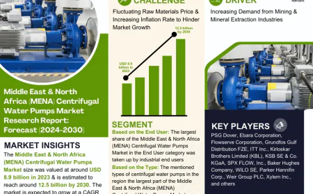 Middle East & North Africa (MENA) Centrifugal Water Pumps Market Future Business Opportunities 2024-2030 | MarkNtel
