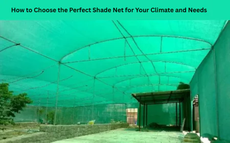 How to Choose the Perfect Shade Net for Your Climate and Needs