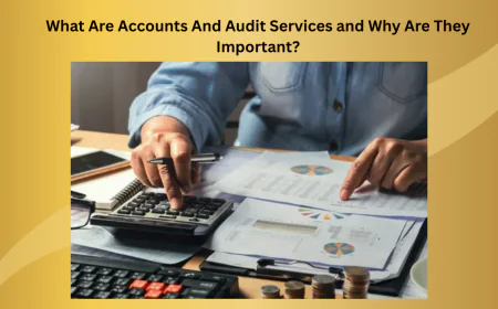 What Are Accounts And Audit Services and Why Are They Important?