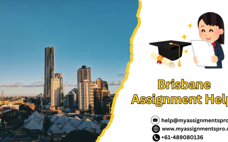 Assignment Help Brisbane: Your Trusted Academic Support for University Success