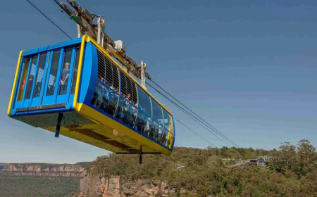 Blue Mountains Private Tours: Best Way to Explore the Mountains