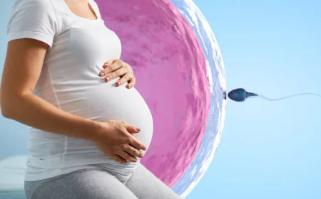 Enhancing Pregnancy Success Rates: Insights from Dr. Archana Dhawan Bajaj