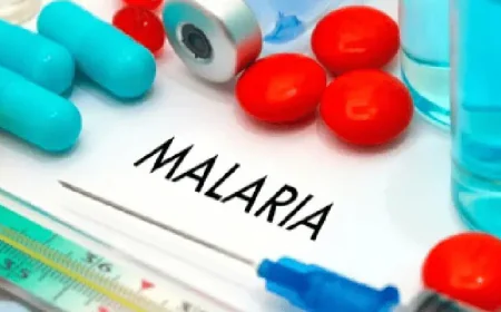 India Antimalarial Drugs Market Forecast, Growth, Trends, and Research Report 2025-2033