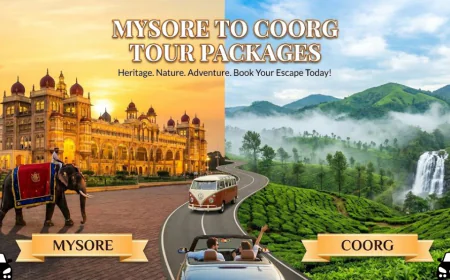 Mysore to Coorg Tour Packages for Families & Couples – mysoretravelo