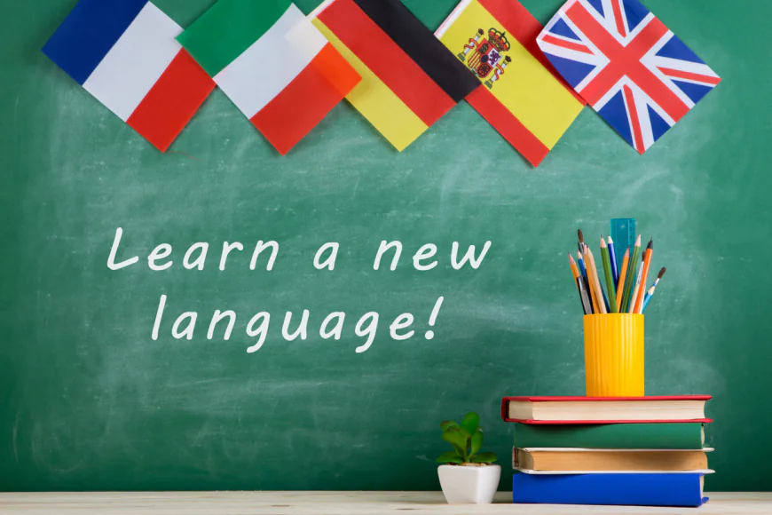 Chandigarh! Your Complete Guide to Spanish Language Courses: Fees & Duration - Blogosm