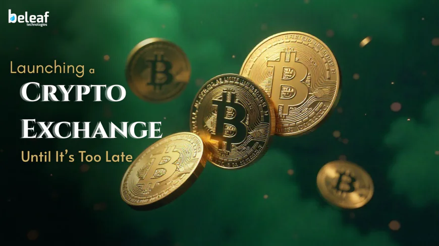 What No One Tells You About Launching a Crypto Exchange Until It’s Too Late