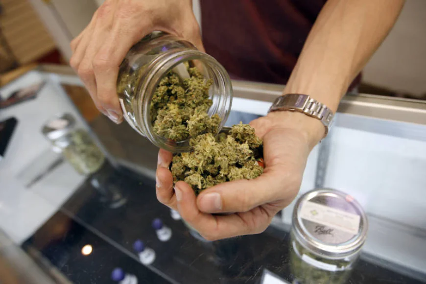 Dos and Don’ts When Shopping at a Marijuana Dispensary in Essex
