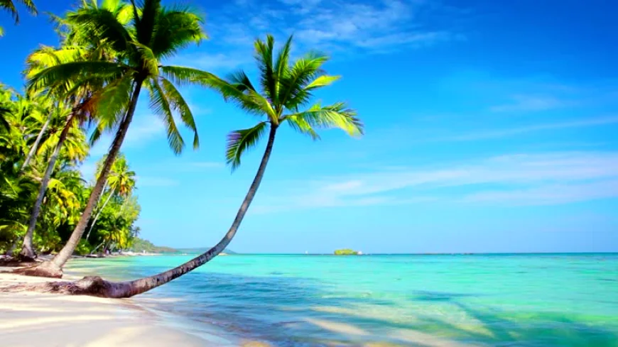 استكشاف غرينادا: جنة جزيرة استوائية