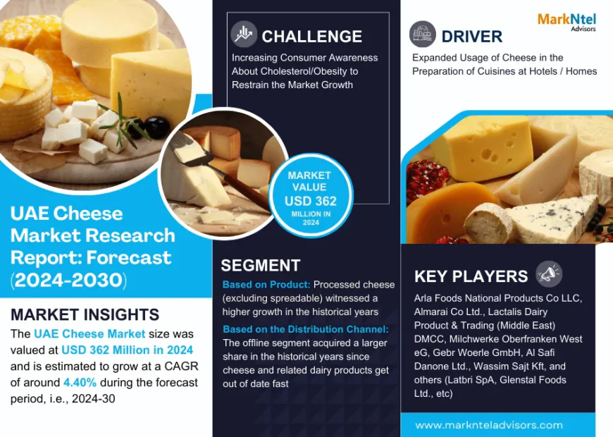 UAE Cheese Market Trends: Growth, Share, Value, Size, and Analysis By 2030