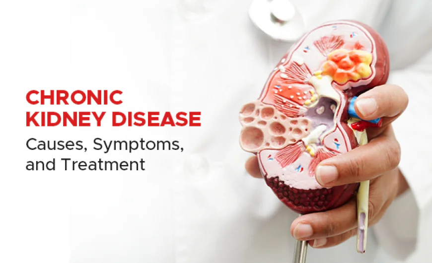 Chronic Kidney Disease