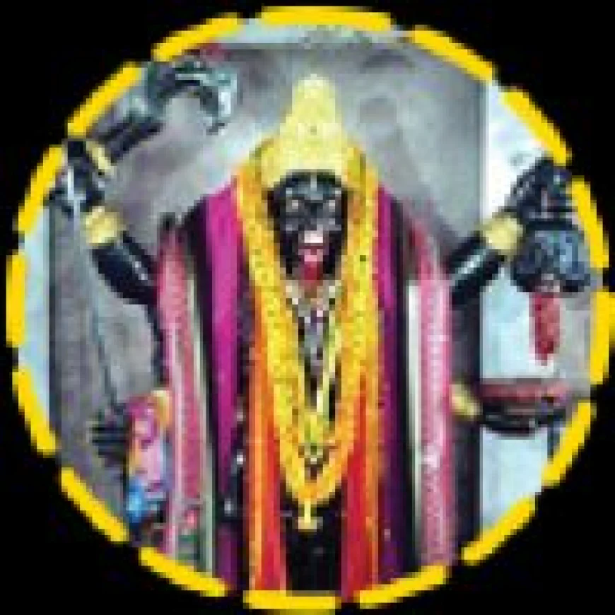 Powerful Astrology Solutions for Love, Marriage & Negative Energy Removal in Vadodara