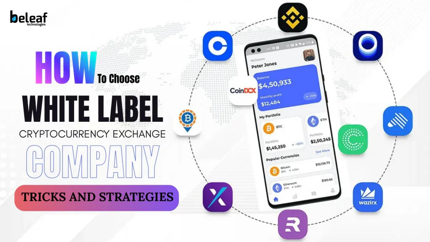 How to Select the Top White Label Crypto Exchange Company: Tricks and Strategies