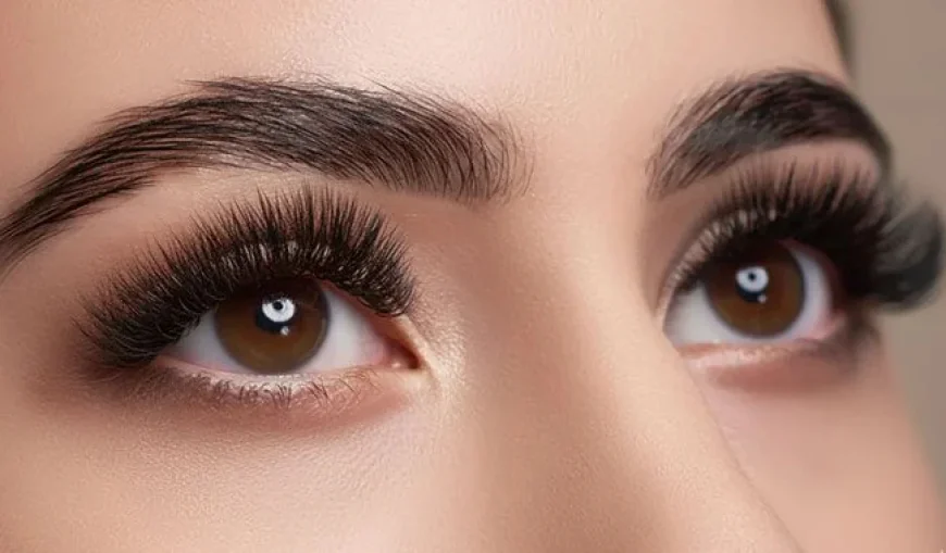 Why Lash Lifts and Brow Tints Are Becoming a Must-Have in Modern Beauty Routines
