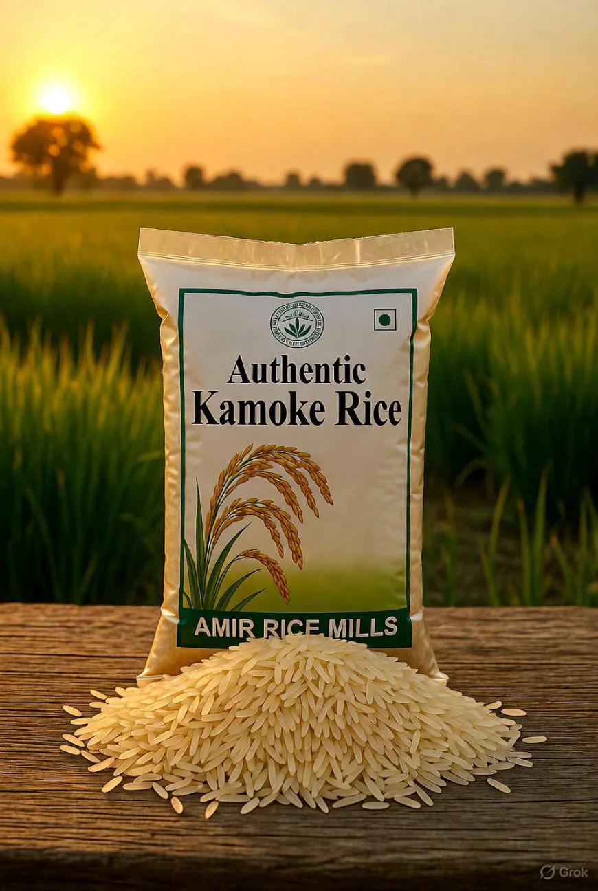 Pakistan’s Largest Export Crop: The Hidden Power of Premium Pakistani Rice