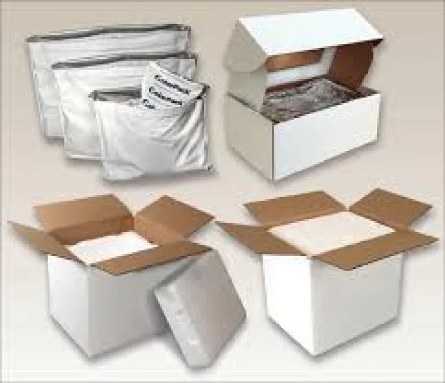 Temperature Controlled Packaging Solutions for Reliable Cold-Chain Shipping