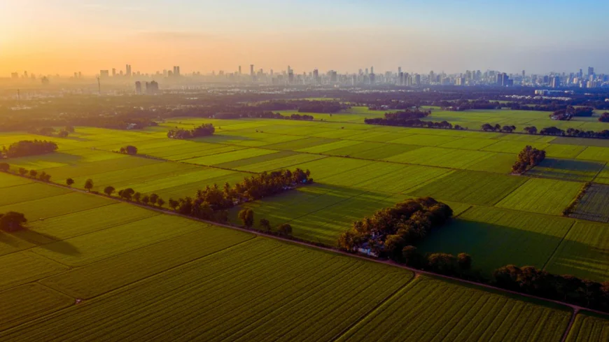 5 Reasons Why Investing in Farmland Near Mumbai Makes Financial Sense