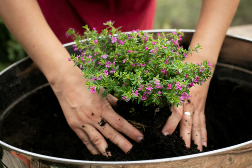 DIY Herb Garden Ideas for Beginners: Simple Ways to Grow Fresh Flavour at Home