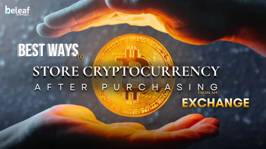 Best Ways to Store Cryptocurrency After Purchasing From an Exchange