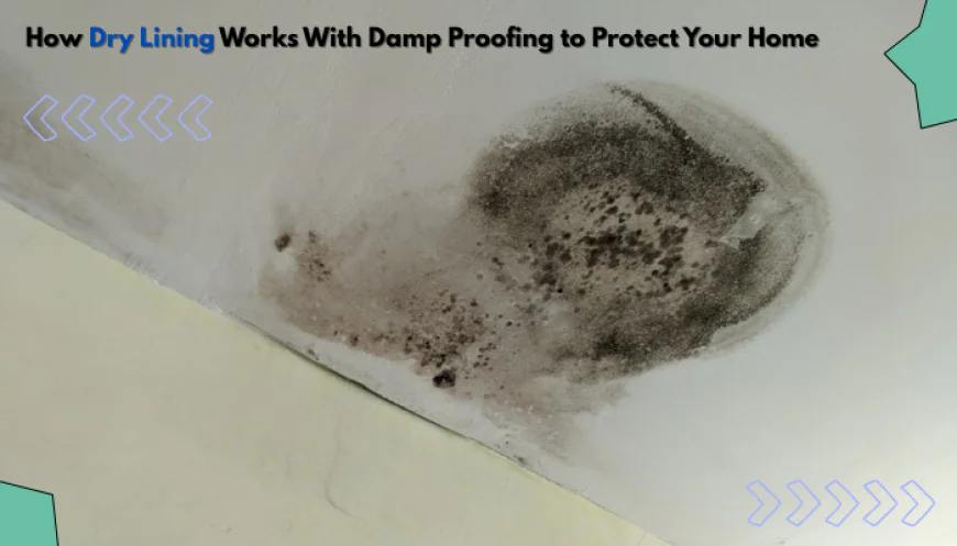 How Dry Lining Works With Damp Proofing to Protect Your Home