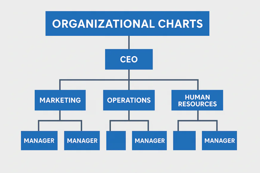 Starbucks Org Chart: A Comprehensive Guide to the Organizational Structure