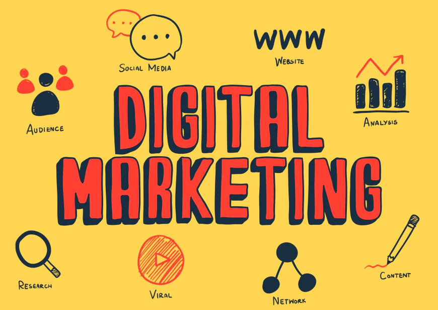 Best BBA (Hons.) Digital Marketing college for career growth