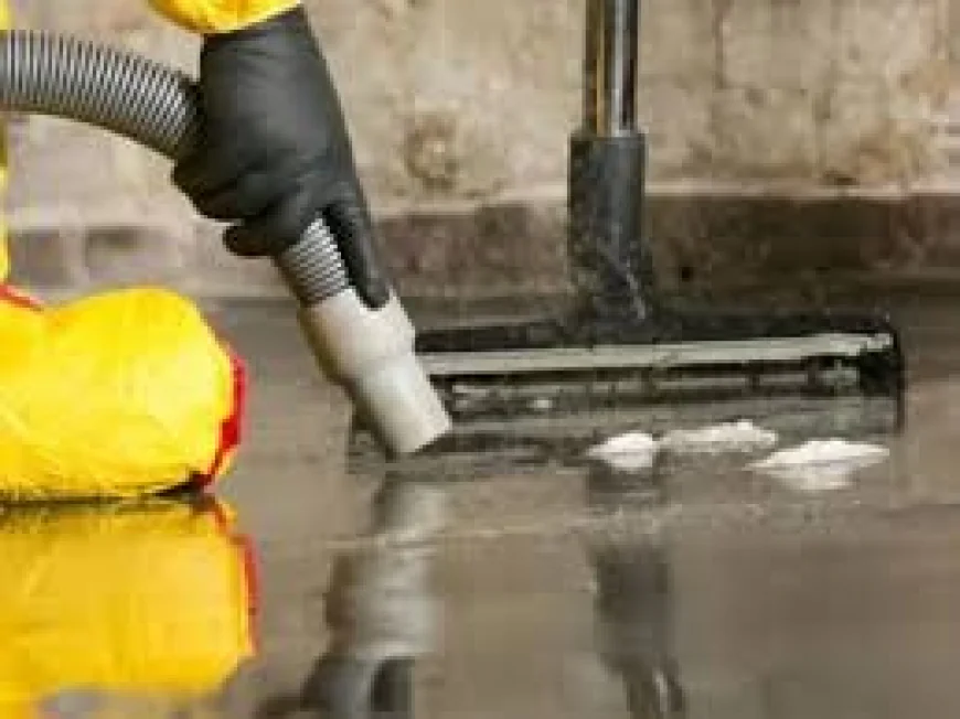 Why Should You Choose Certified Experts for Water Damage Service?