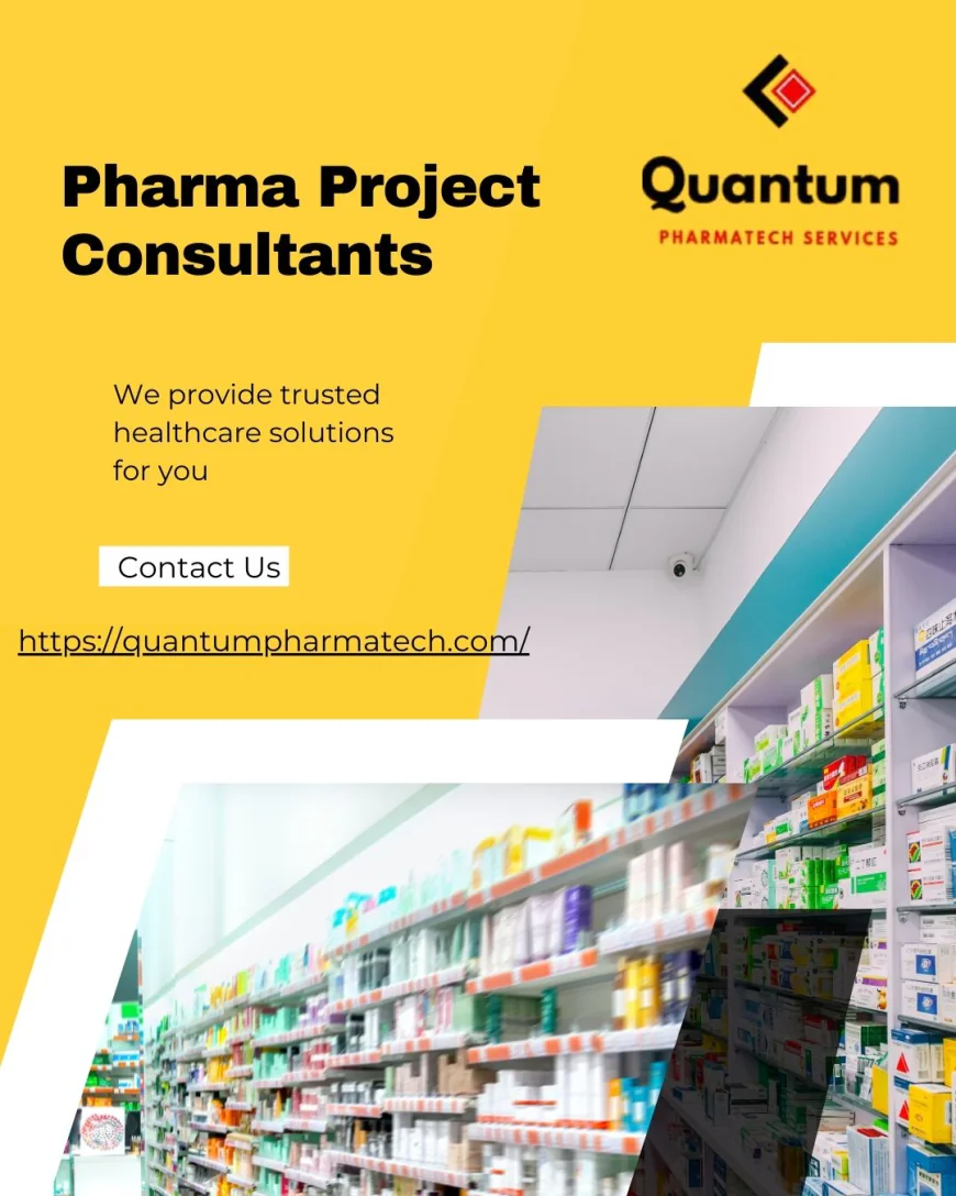 How Can the Right Consultant for Pharmaceutical Companies Transform Your Project Success?