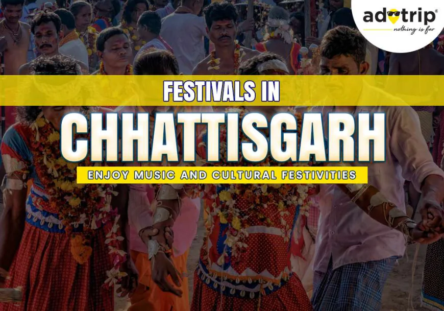 Best Kerala Group Tour Package 5 Nights 6 Days Itinerary Guide