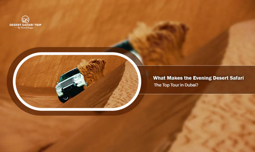 What Makes the Evening Desert Safari the Top Tour in Dubai?