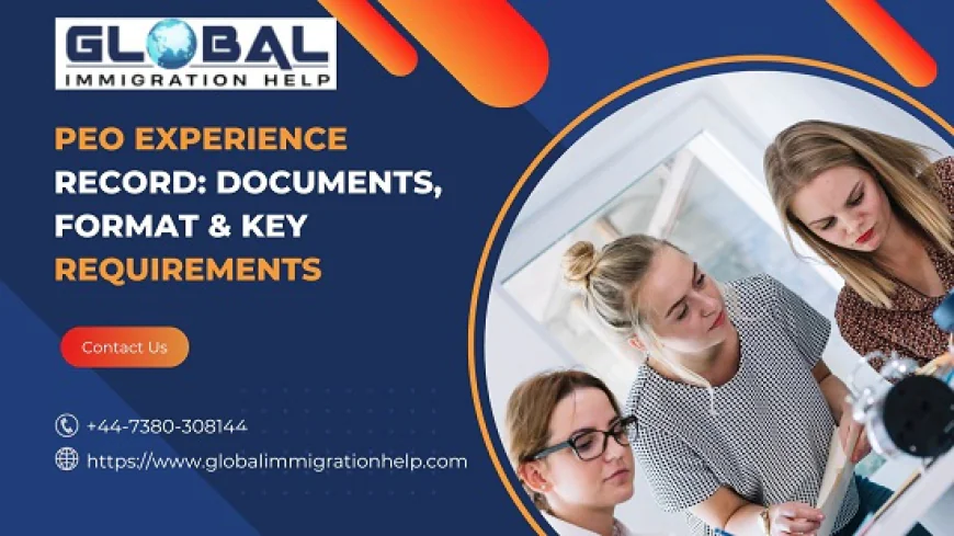 PEO Experience Record: Documents, Format & Key Requirements