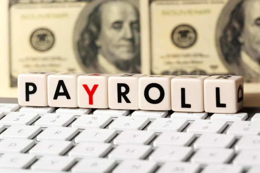 Best Payroll Software in India: 10 Platforms to Automate Your HR in 2026