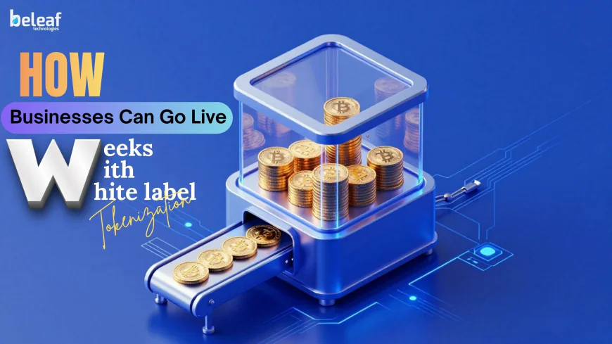 How Your Businesses Can Go Live in Weeks With White Label Tokenization