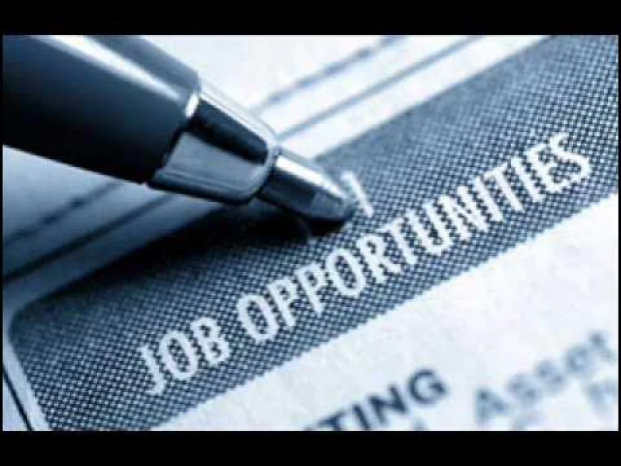 Job Opportunities Islamabad – A Complete Guide to Building Your Career in the Capital City