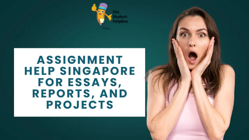 Assignment Help Singapore for Essays, Reports, and Projects