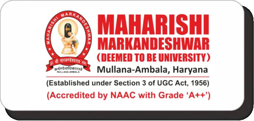 Transforming Leaders: How MMU Online MBA Can Boost Your Career